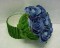 Salvia Blue