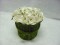 White Green