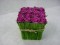 Light Orchid Pink