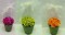 Olive Green, Orange, Pastel Green