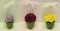 Violet, Wine, Yellow